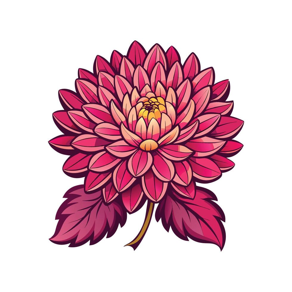 Lovely Chrysanthemum Flower Illustration vector