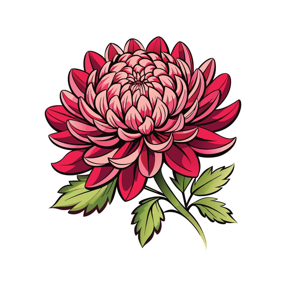 Elegant Chrysanthemum Flower Design vector