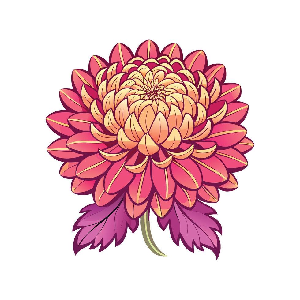 Elegant Chrysanthemum Floral Design vector