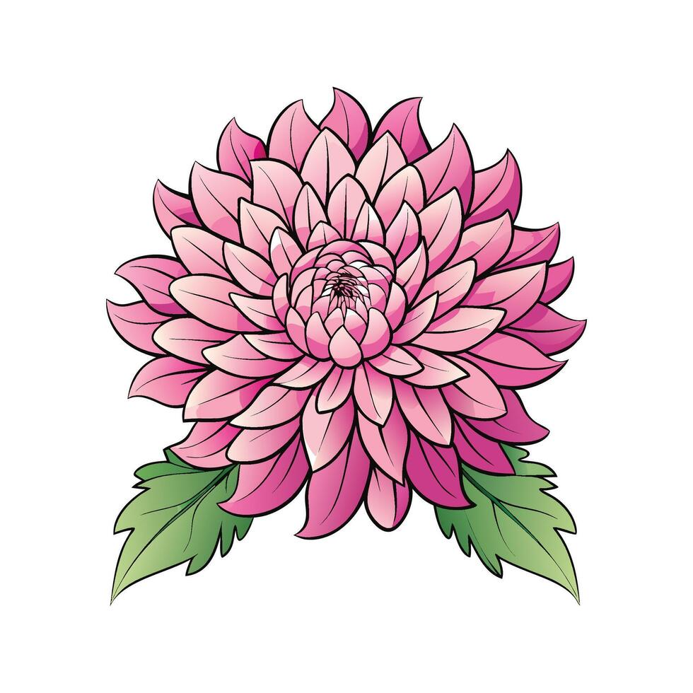 Charming Chrysanthemum Flower Artwork vector