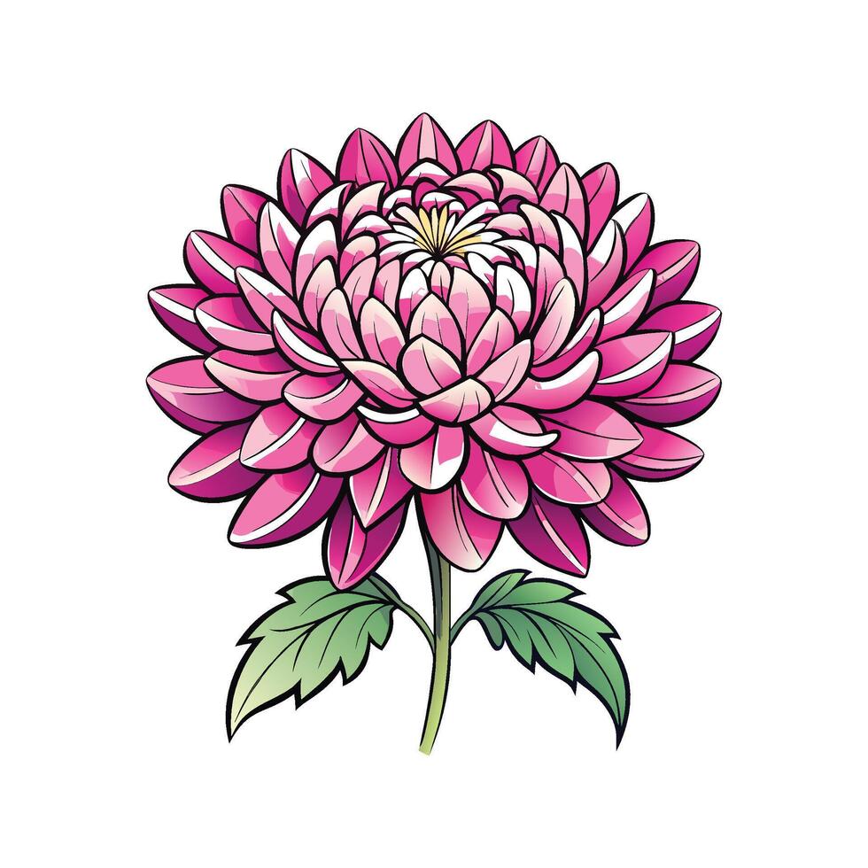 Captivating Chrysanthemum Flower vector