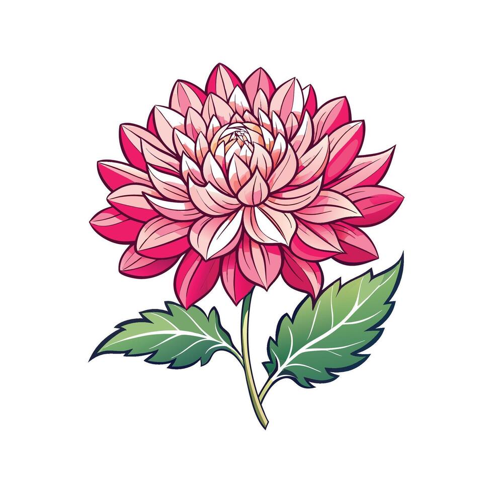 Stylish Chrysanthemum Morifolium Plant Design vector