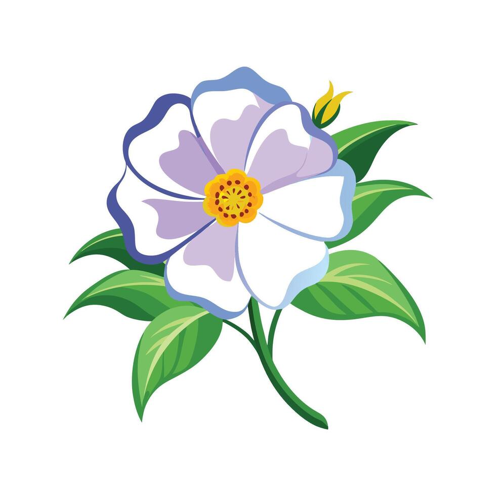 Stunning Cistus Floral vector