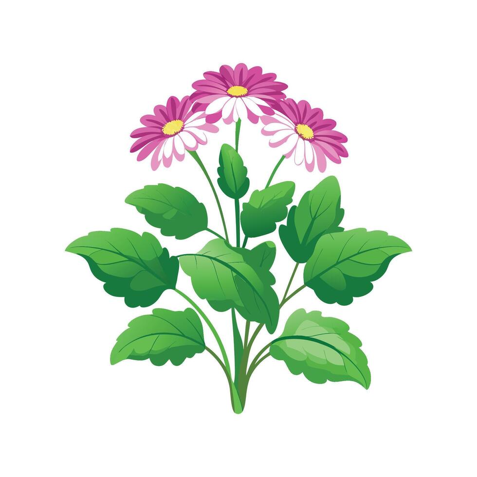 Elegant Cineraria Plant Artwork vector