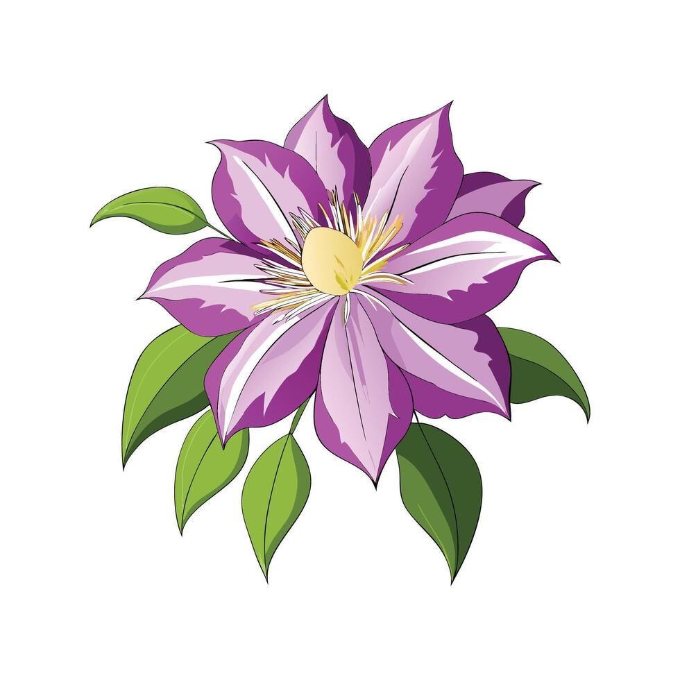 Vibrant Clematis Flower Design vector
