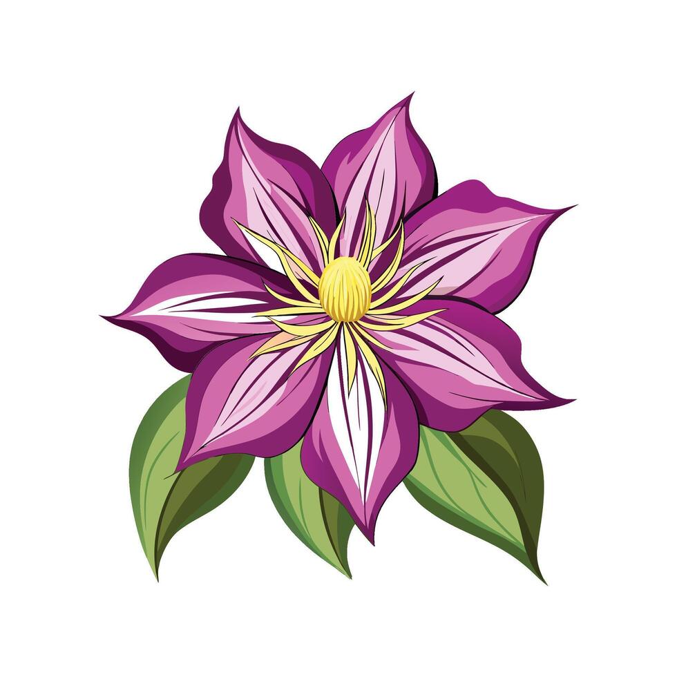 Charming Clematis Floral Illustration vector