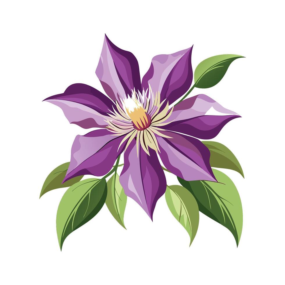 Captivating Clematis Flower Design vector