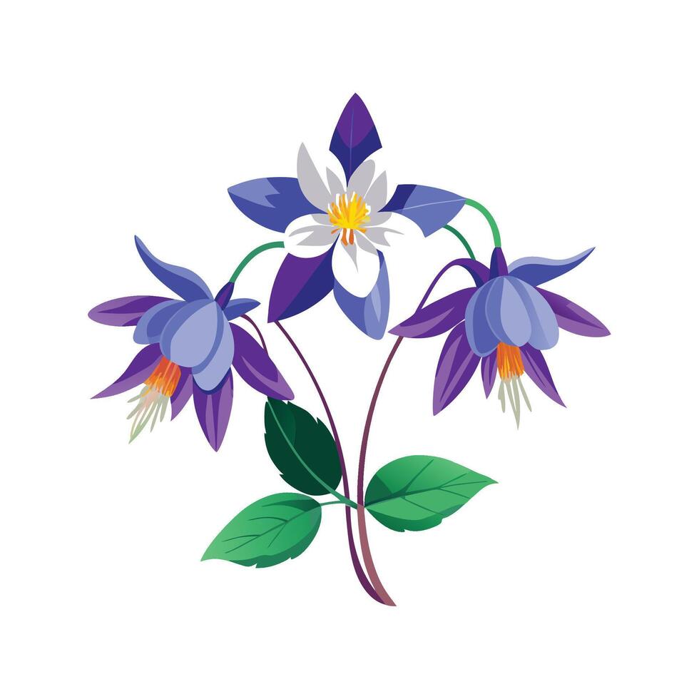 Elegant Columbine Flower Design vector
