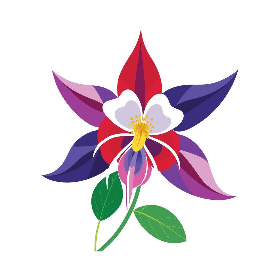 Vibrant Columbine Flower vector