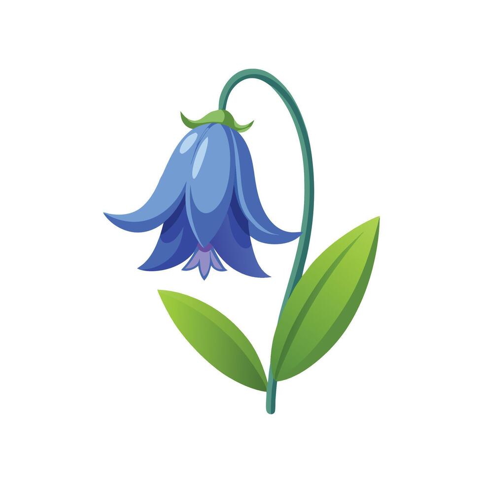 Stylish Common Bluebell Plant Illustration vector