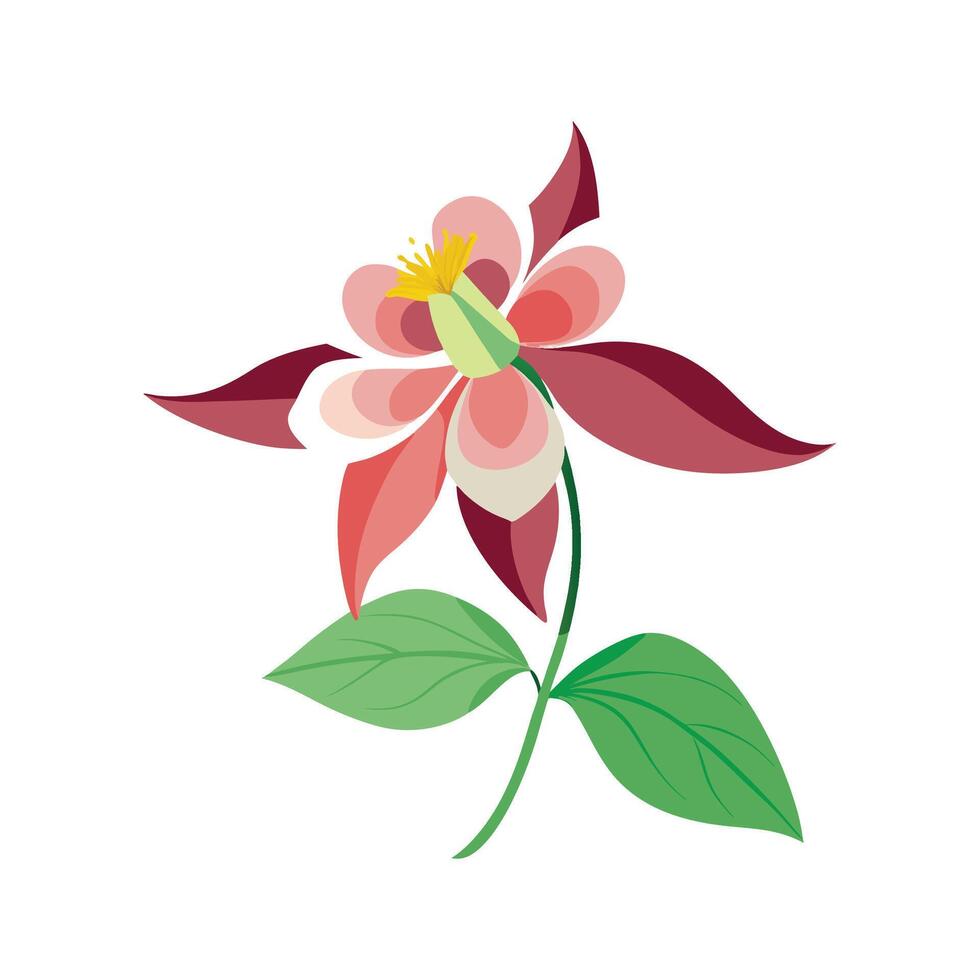 Charming Columbine Floral Artwork vector