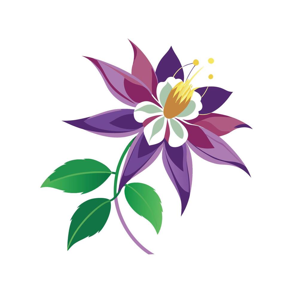 Beautiful Columbine Flower Illustration vector