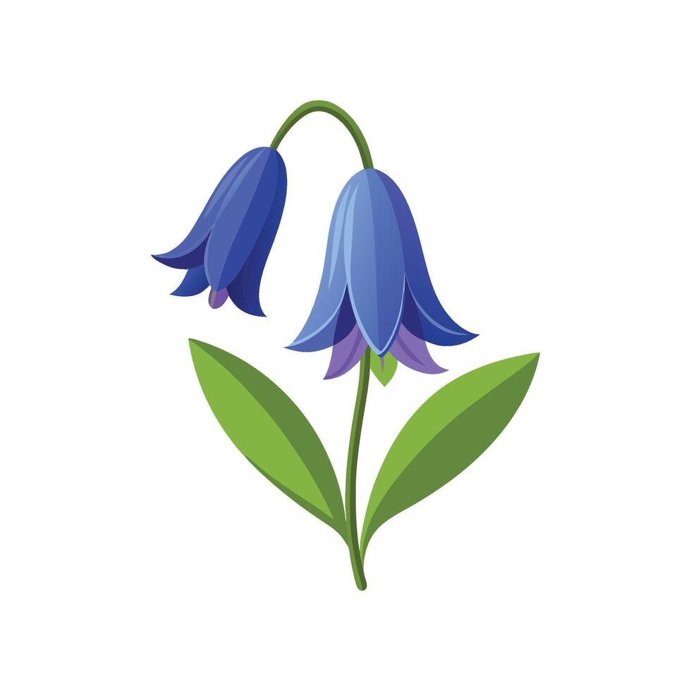 Charming Common Bluebell Floral vector