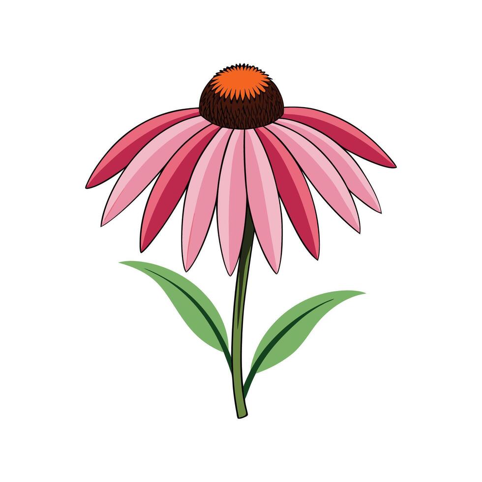 Elegant Coneflower Flower Design vector