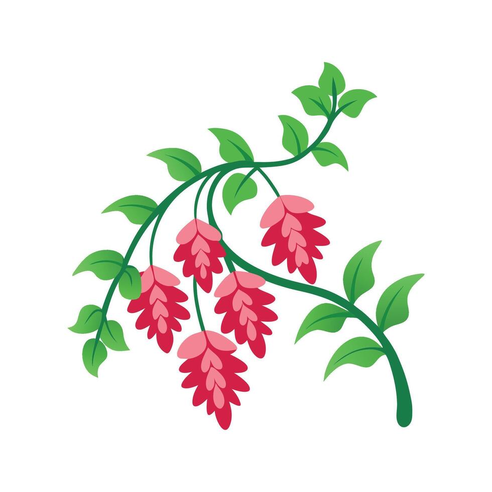 Stunning Coral Vine Flower Artwork vector
