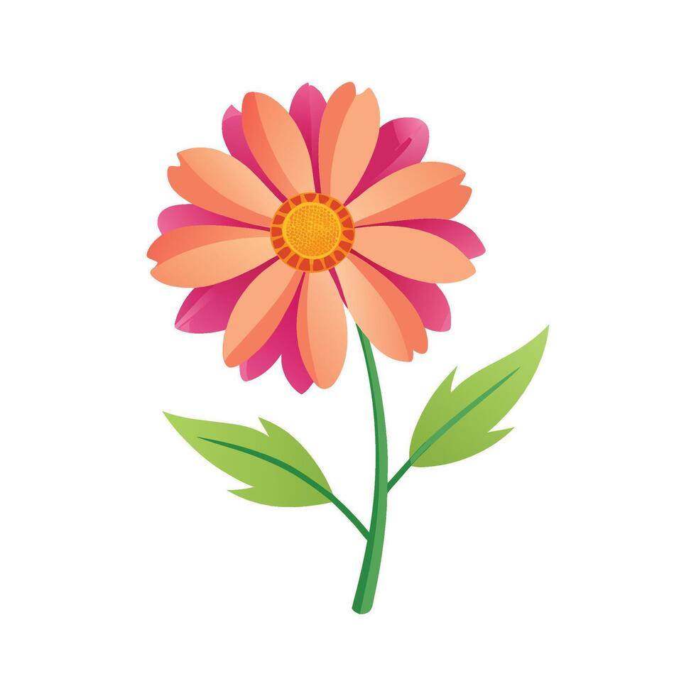 Stylish Coreopsis Screwstem Plant Design vector