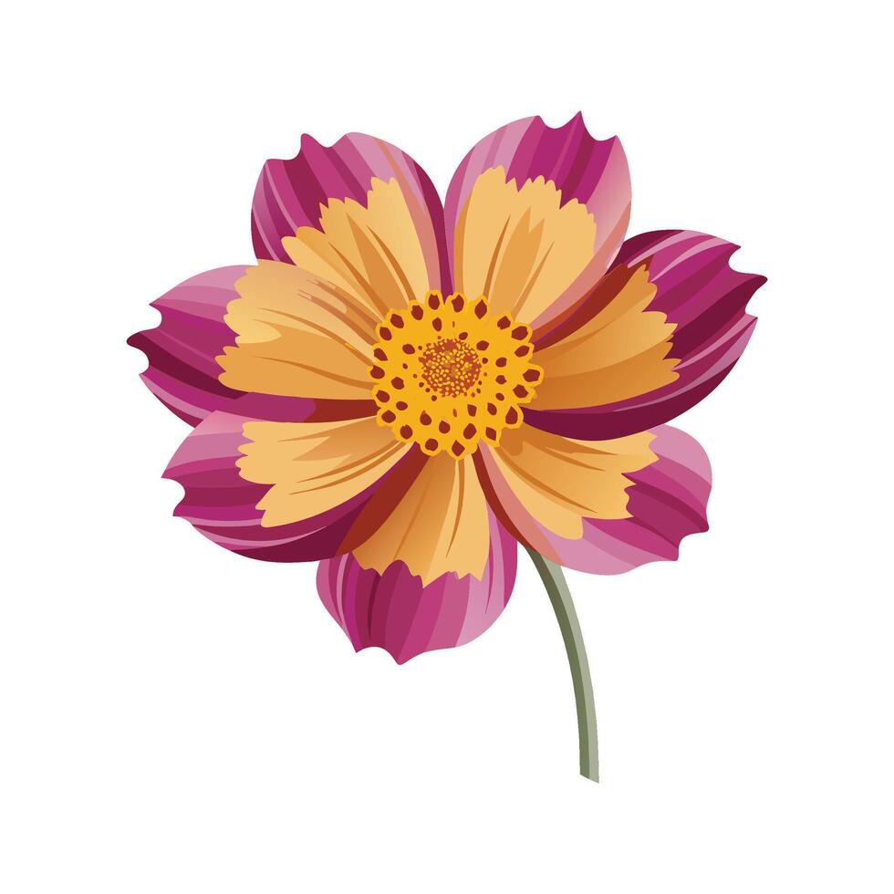 Charming Coreopsis Floral vector