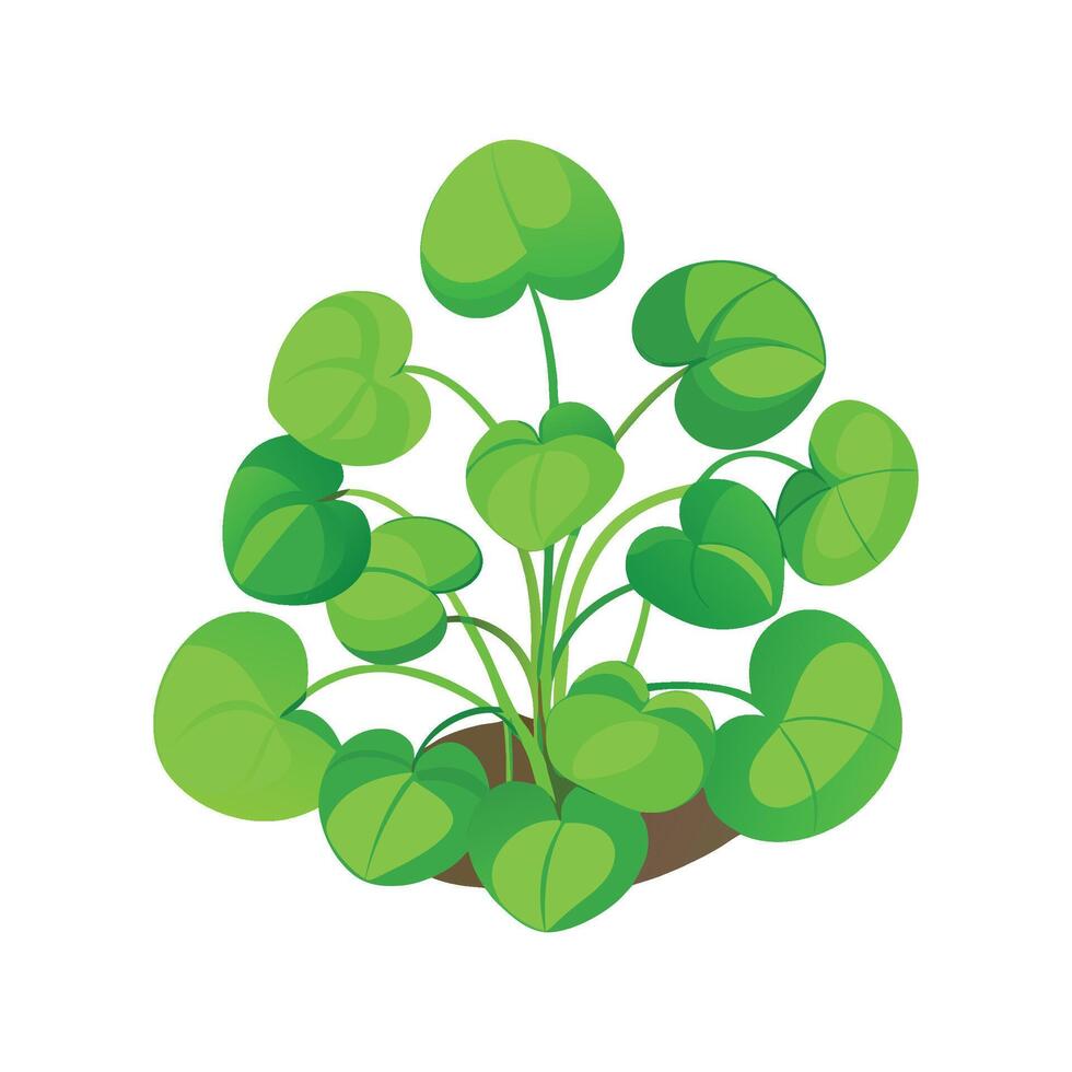Stunning Creeping Jenny Flower Artwork vector
