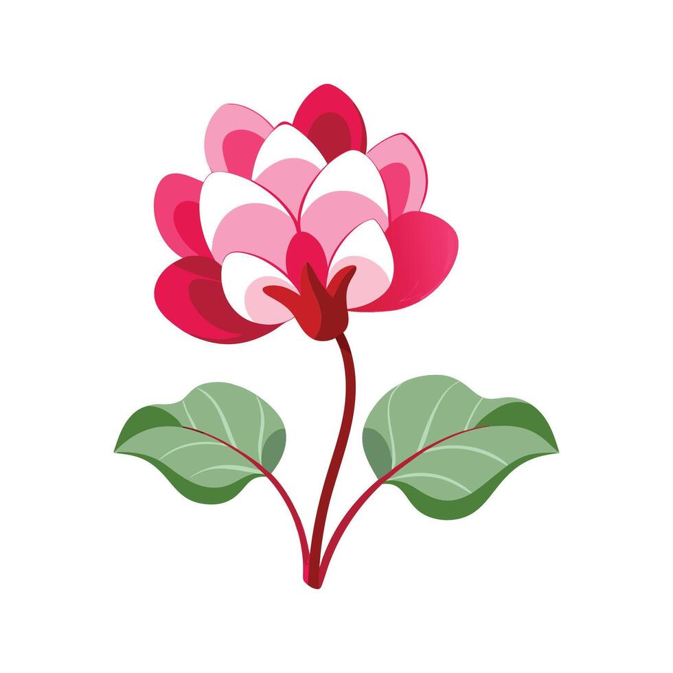 Stylish Cyclamen Plant Design vector