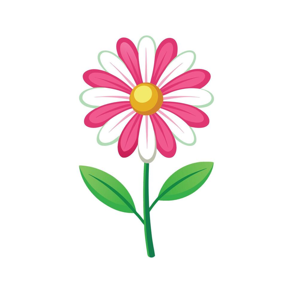 Charming Dahlberg Daisy Floral vector