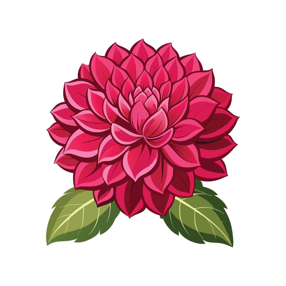 Charming Dahlia Floral vector