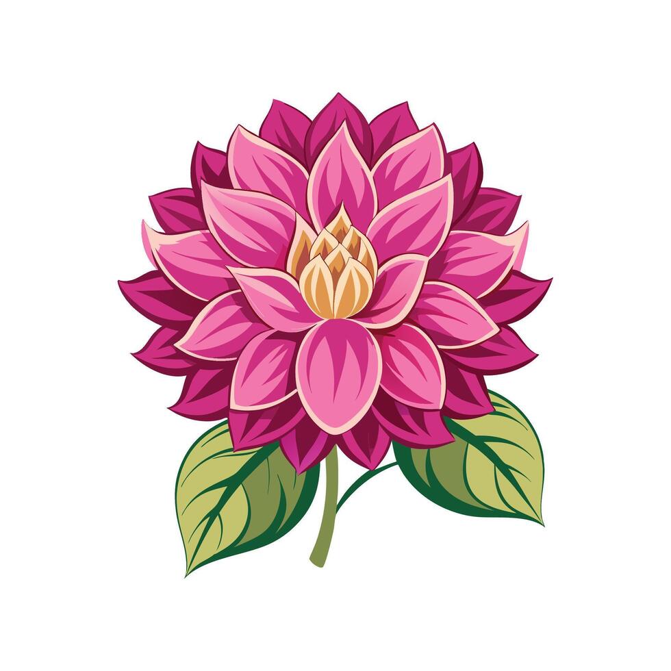 Charming Dahlia Imperialis Floral vector