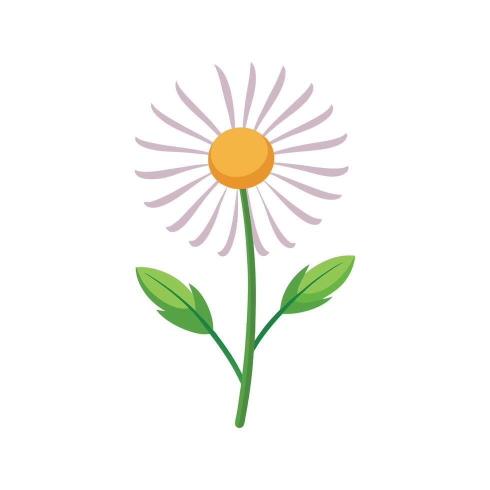 Vibrant Daisy Fleabane Flower Illustration vector