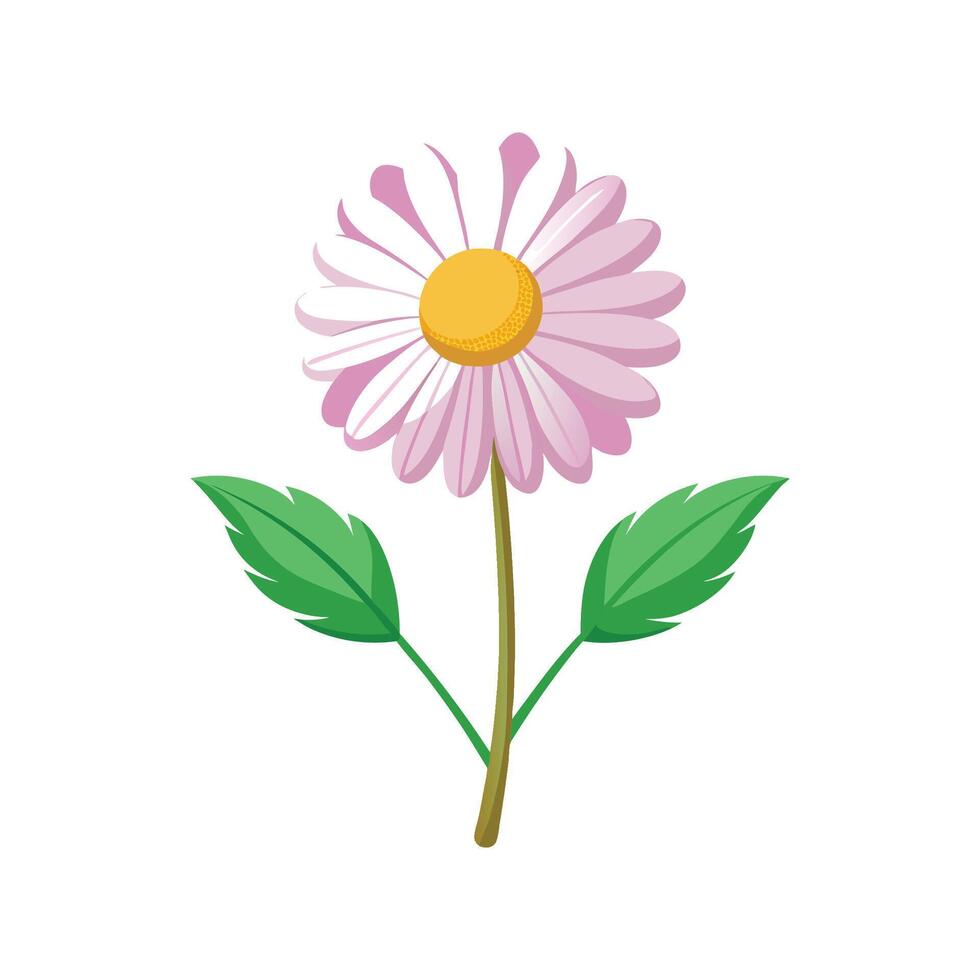 Beautiful Daisy Fleabane Flower Artwork vector
