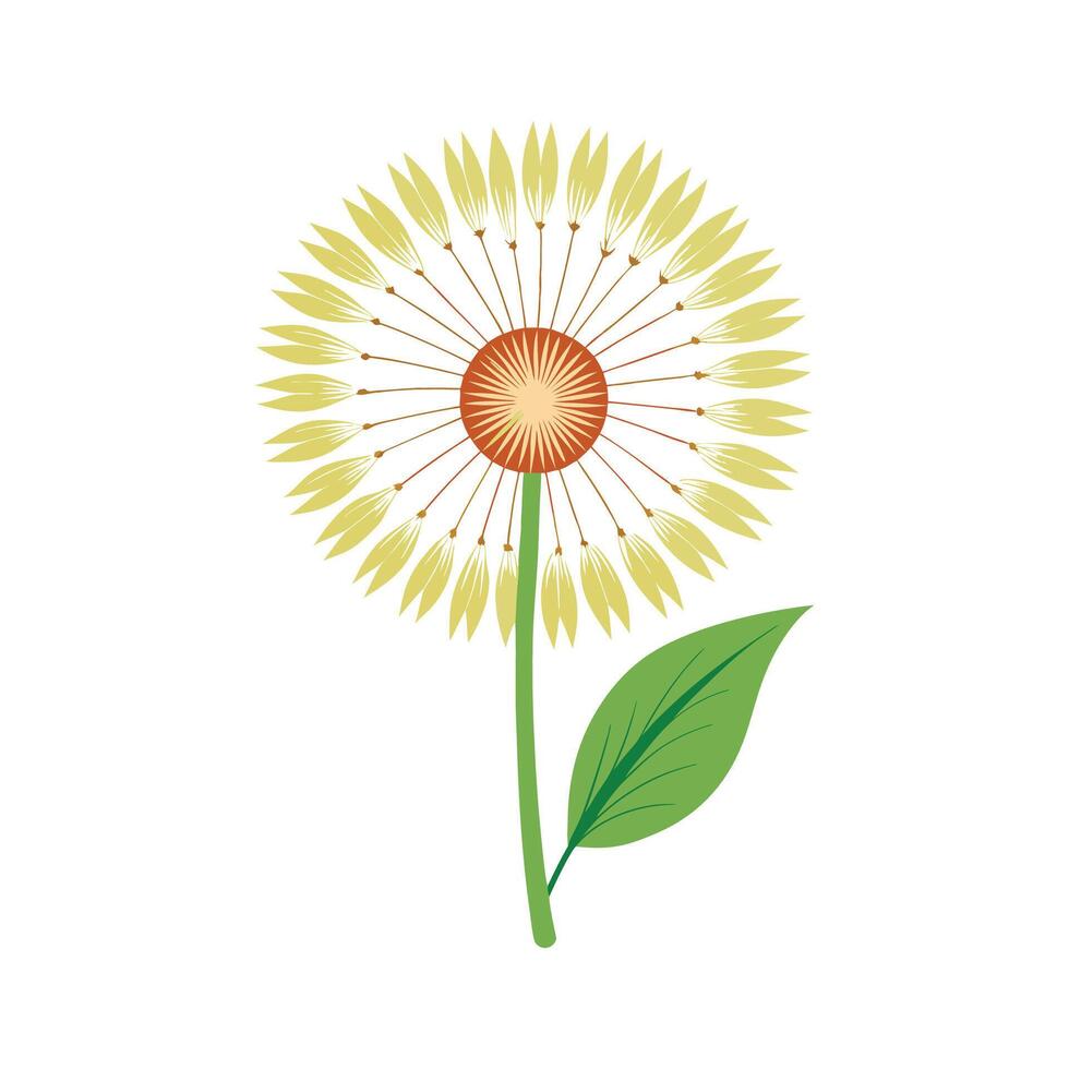 Elegant Dandelion Flower Design vector