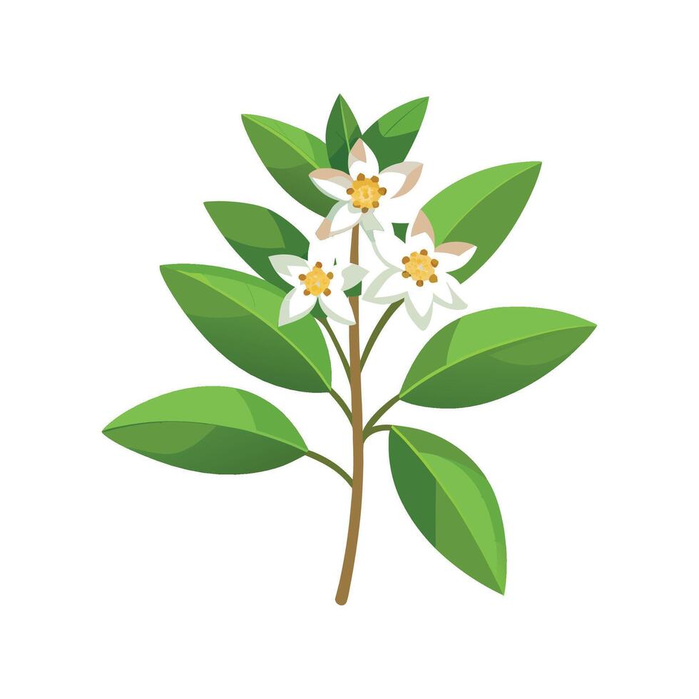 Elegant Daphne Genkwa Flower Design vector