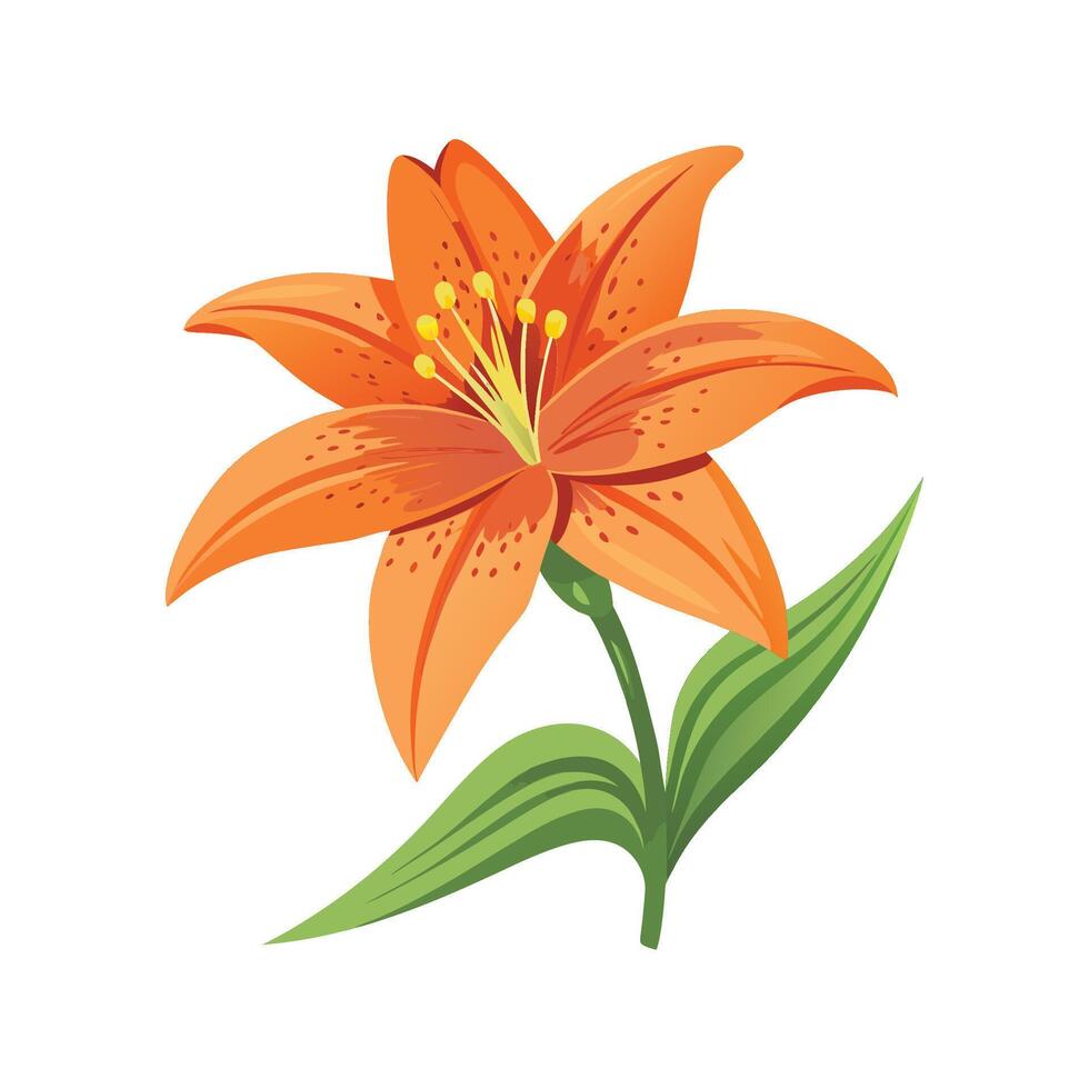 Elegant Daylily Flower Design vector