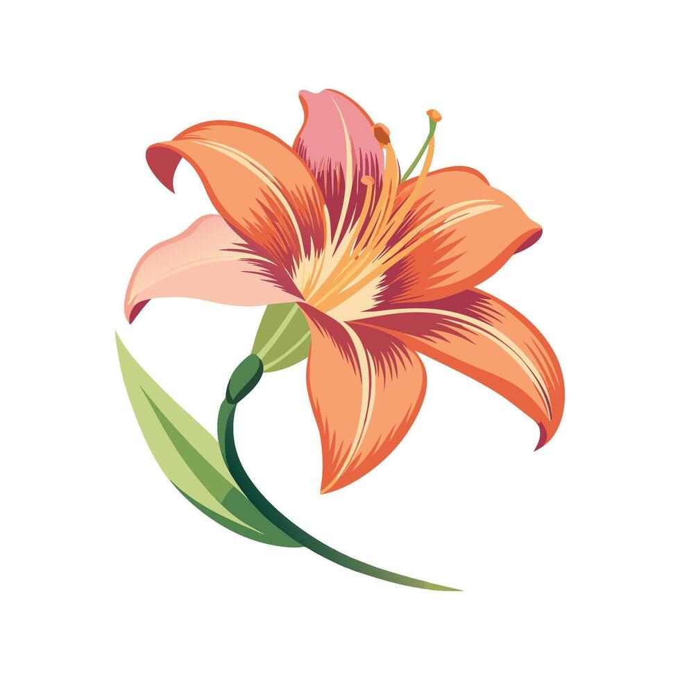 Charming Daylily Floral Artwork vector