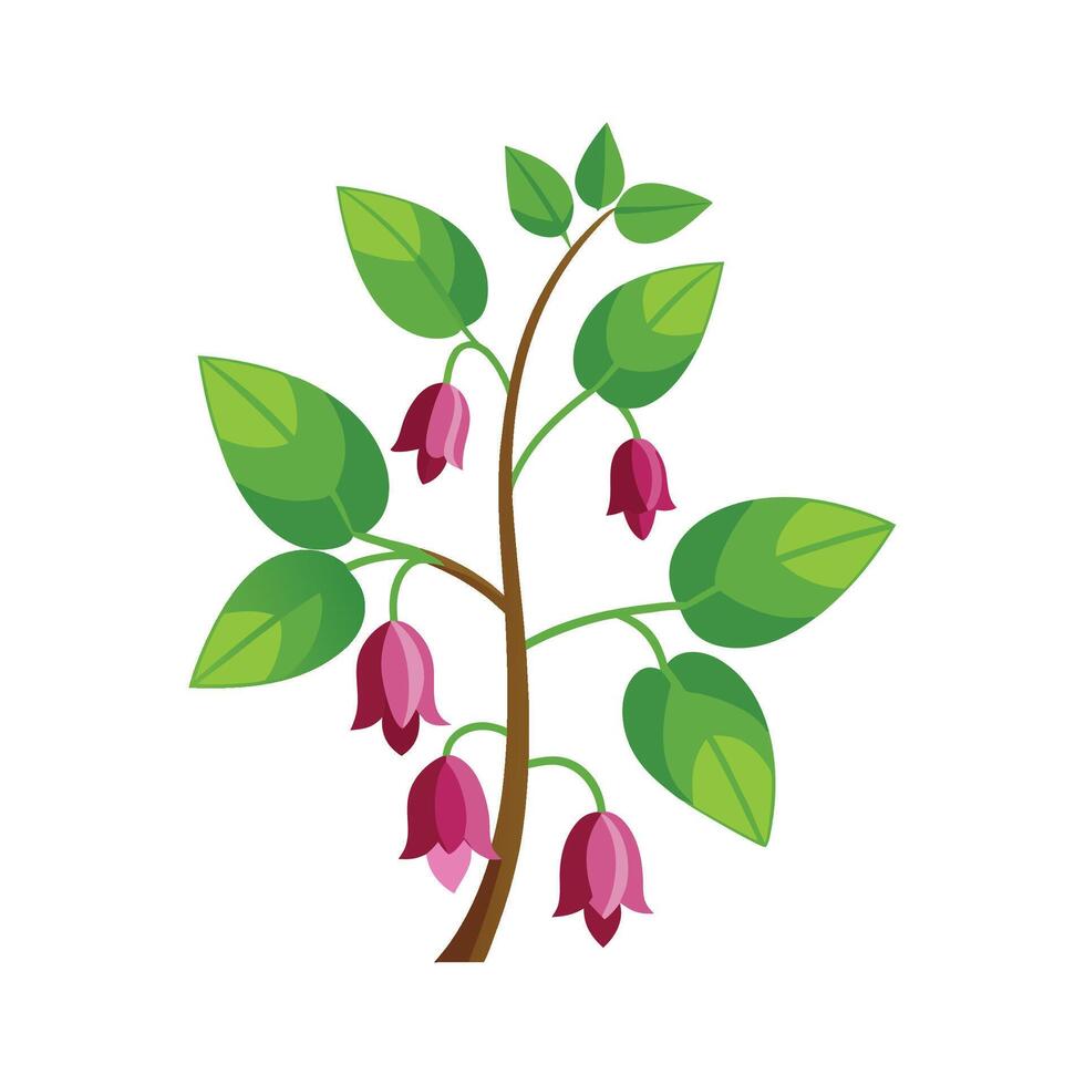 Stylish Desmodium Plant Design vector