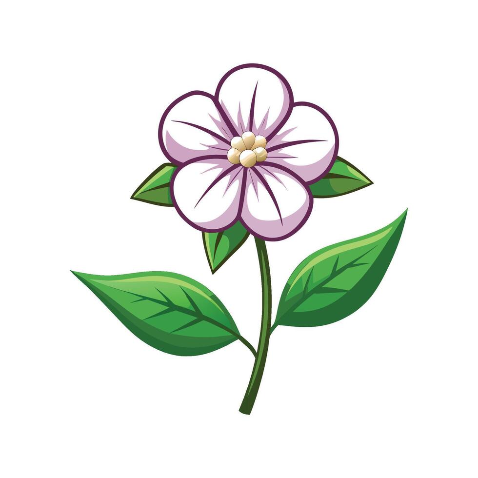 Beautiful Dewflower Flower Artwork vector