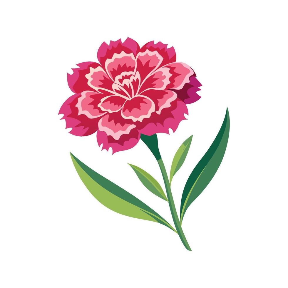 Vibrant Dianthus Flower Design vector