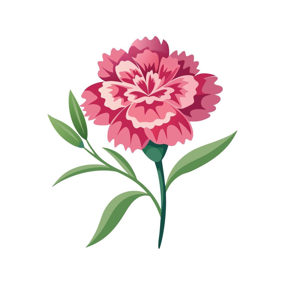 Elegant Dianthus Floral Design vector