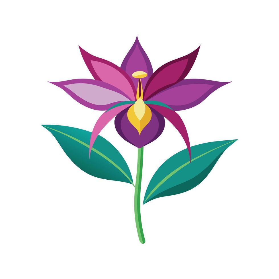 Elegant Dodecatheon Plant Design vector