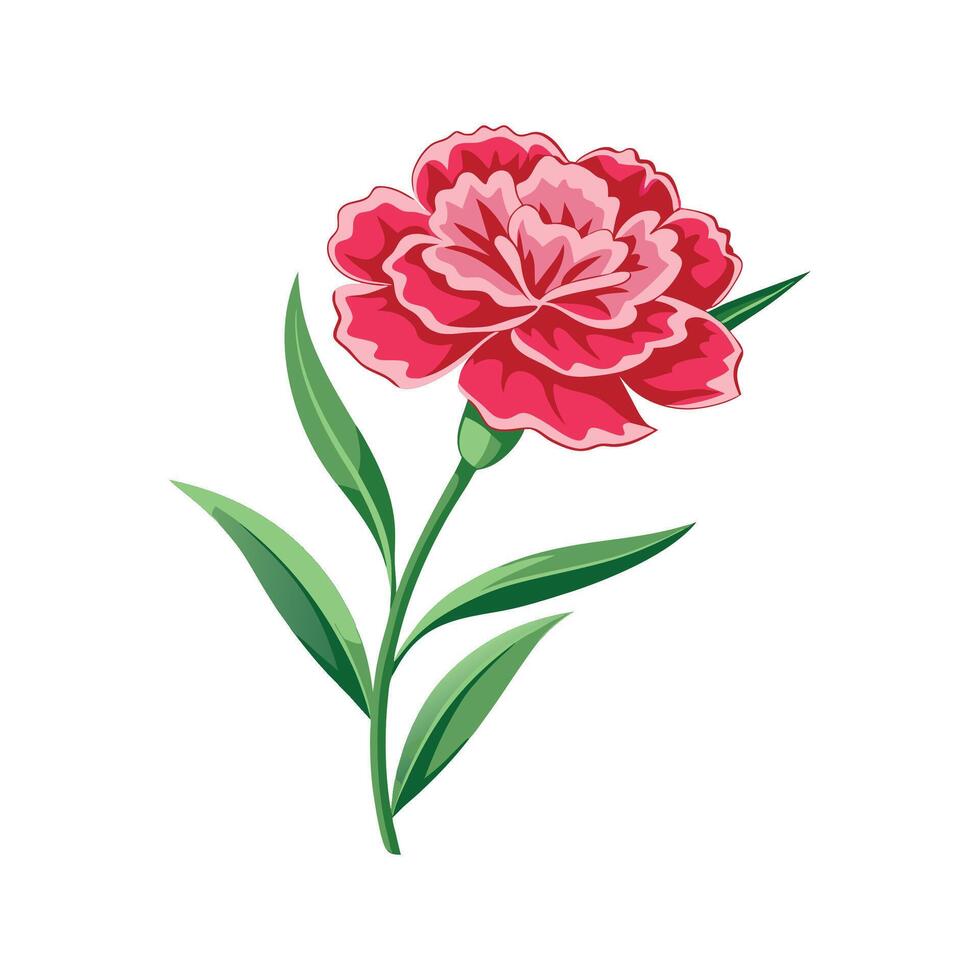 Stunning Dianthus Flower Illustration vector