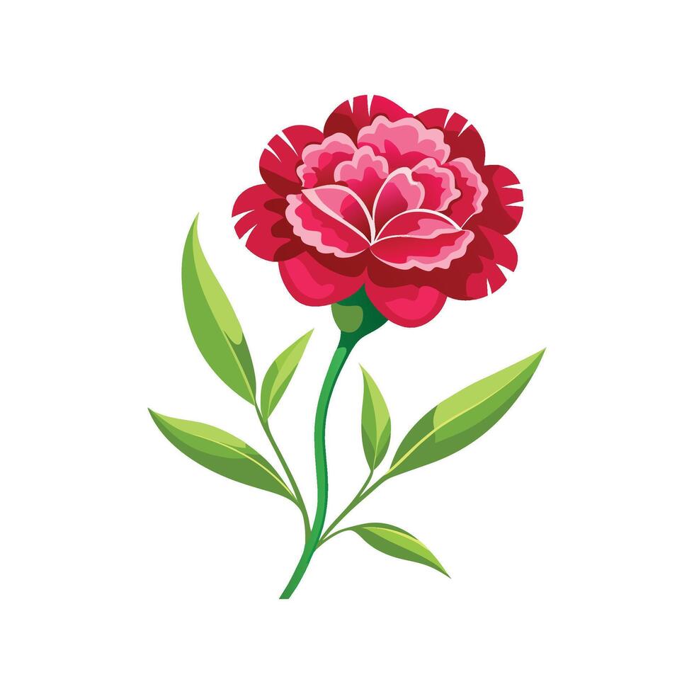 Captivating Dianthus Floral vector