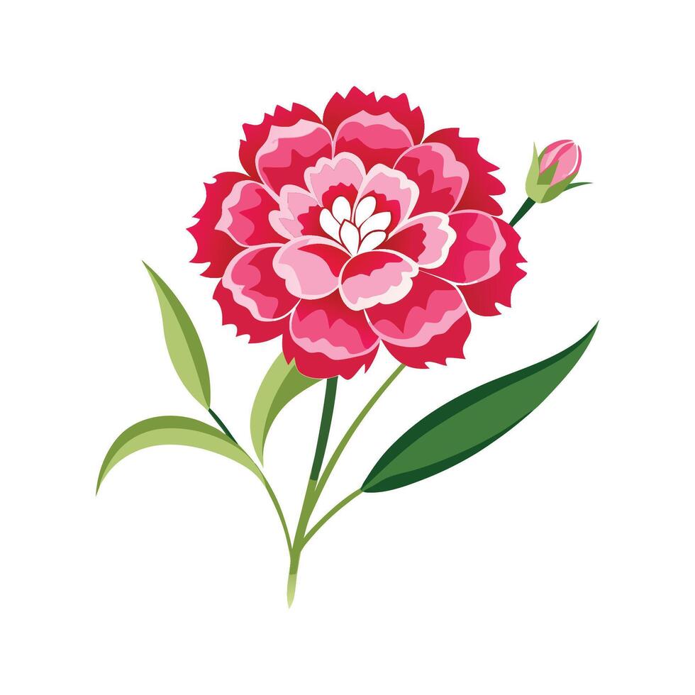 Lovely Dianthus Flower Artwork vector