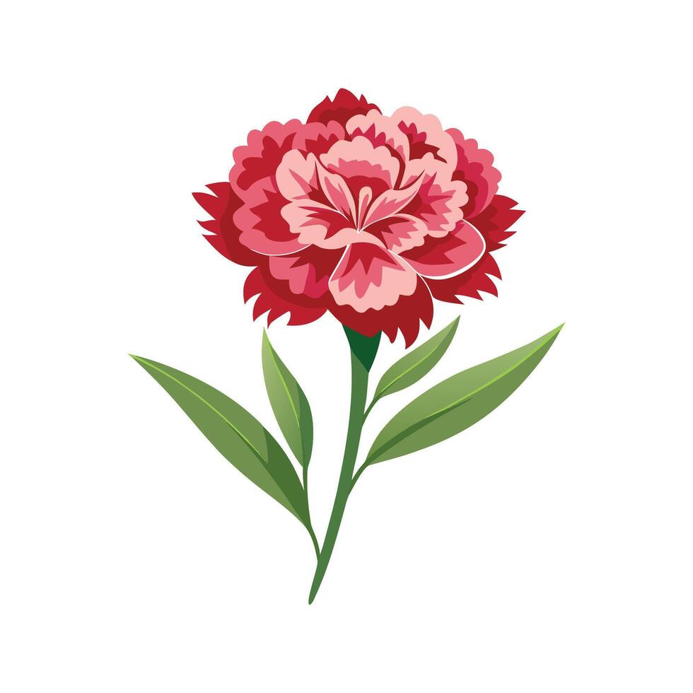 Elegant Dianthus Flower Design vector