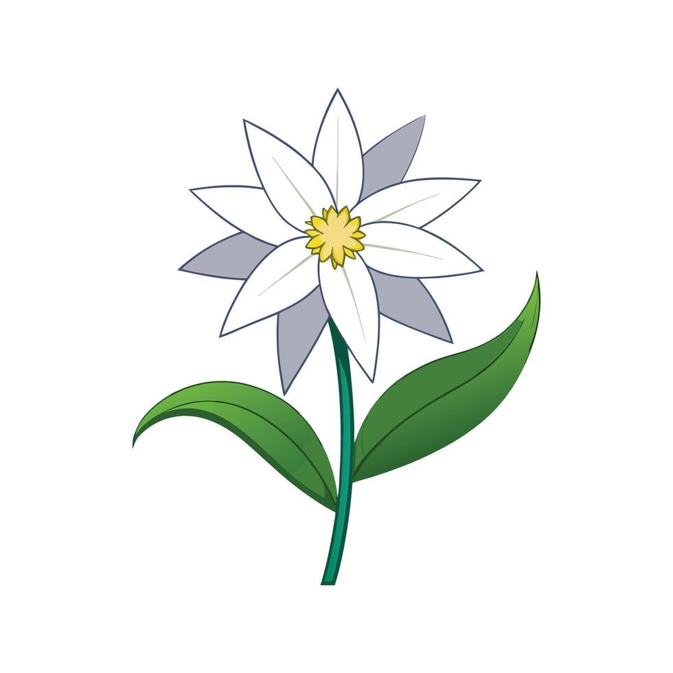 Charming Edelweiss Flower in Beautiful Setting vector