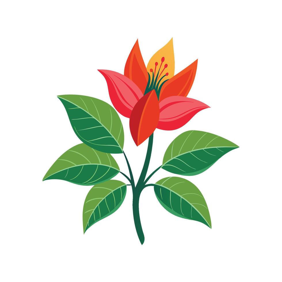 Erythrina Plant Design with Beautiful Blooms vector