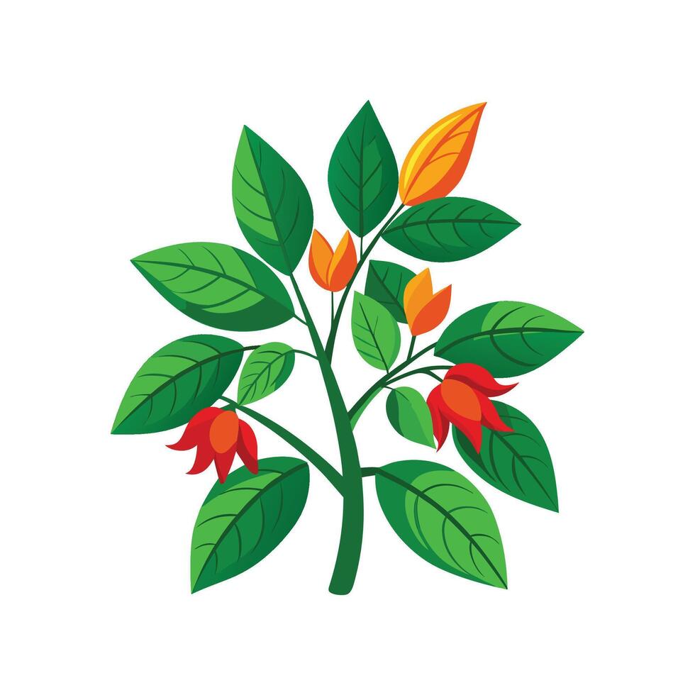 Erythrina Flower Design with Bright Red Colors vector