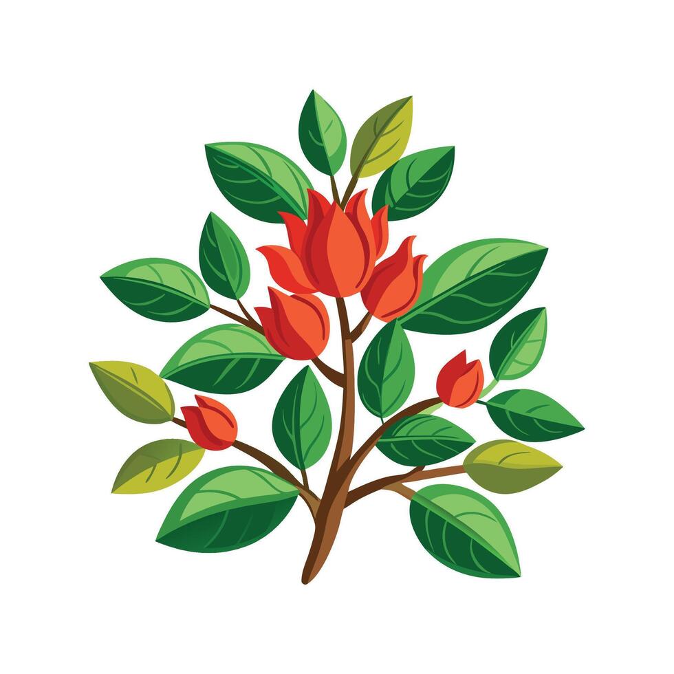 Stunning Erythrina Plant with Artistic Flair vector
