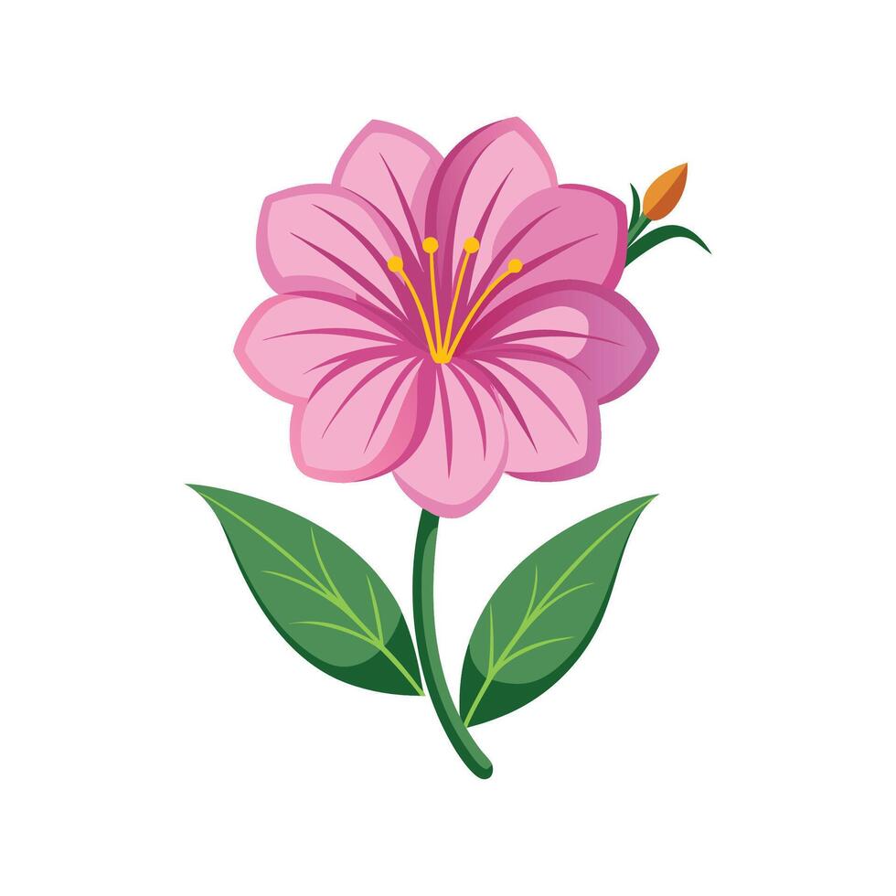 Evening Primrose Plant Design with Stunning Blooms vector