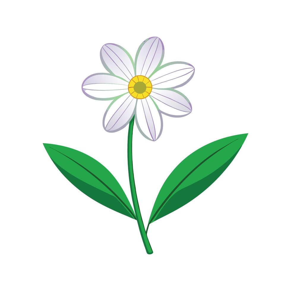 Elegant Eyebright Flower with Artistic Touch vector