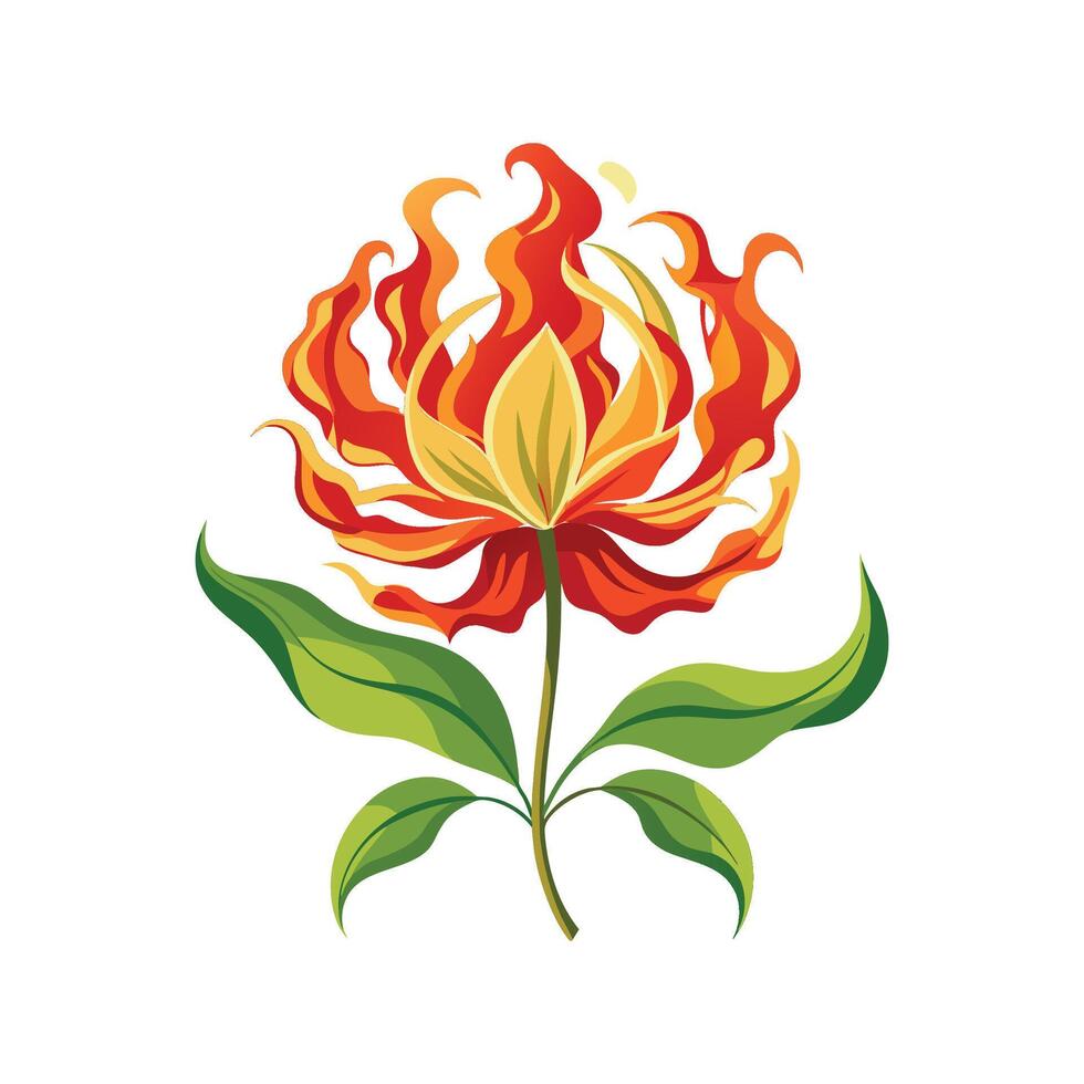 Charming Flame Lily with Distinct Features vector