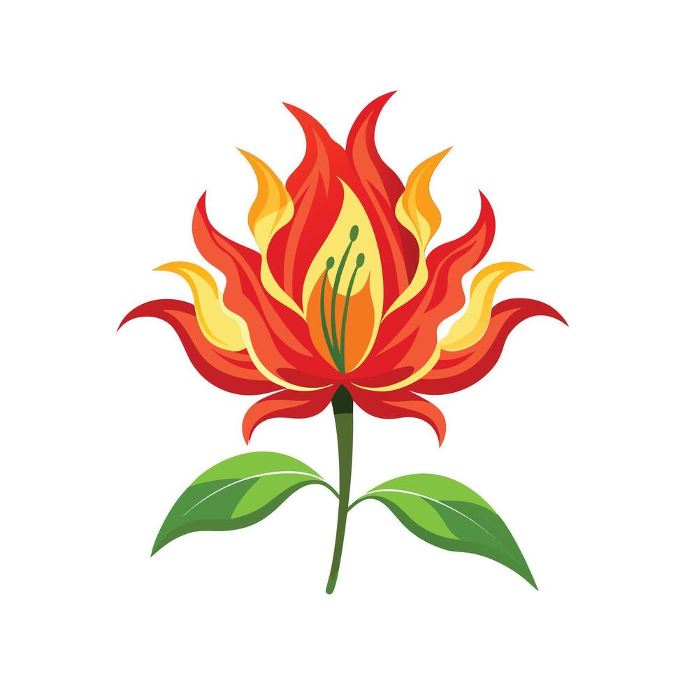 Charming Flame Lily Design vector