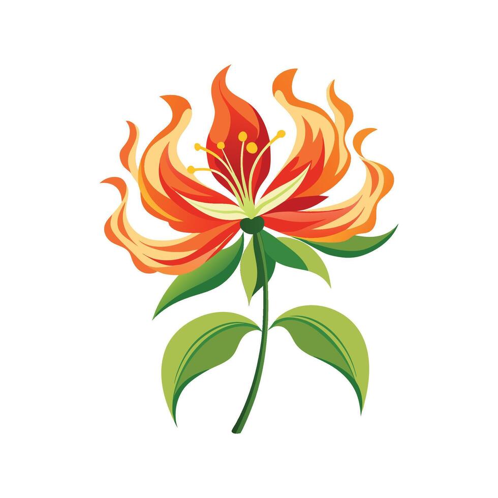 Beautiful Flame Lily Plant with Vibrant Colors vector